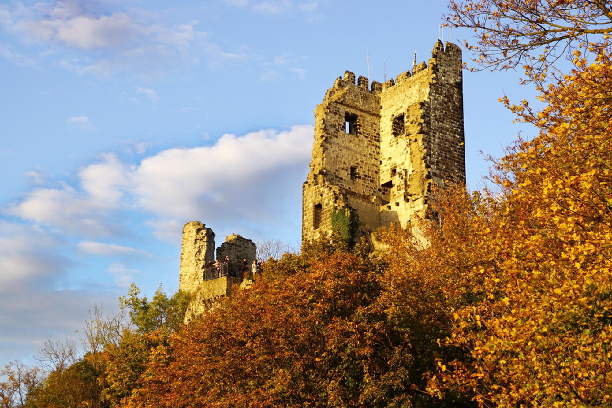 Drachenfels by Elisabeth Roesicke_Bildgröße ändern
