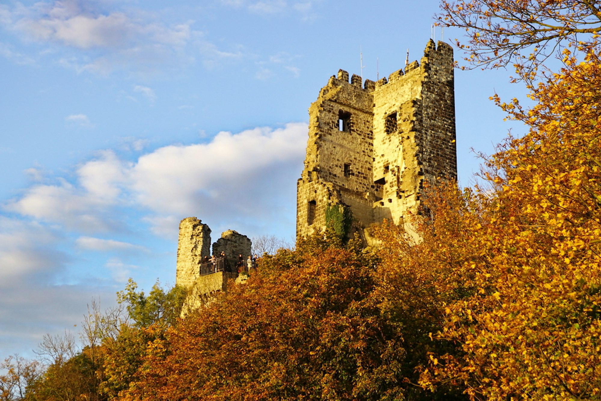 Drachenfels by Elisabeth Roesicke_Bildgröße ändern