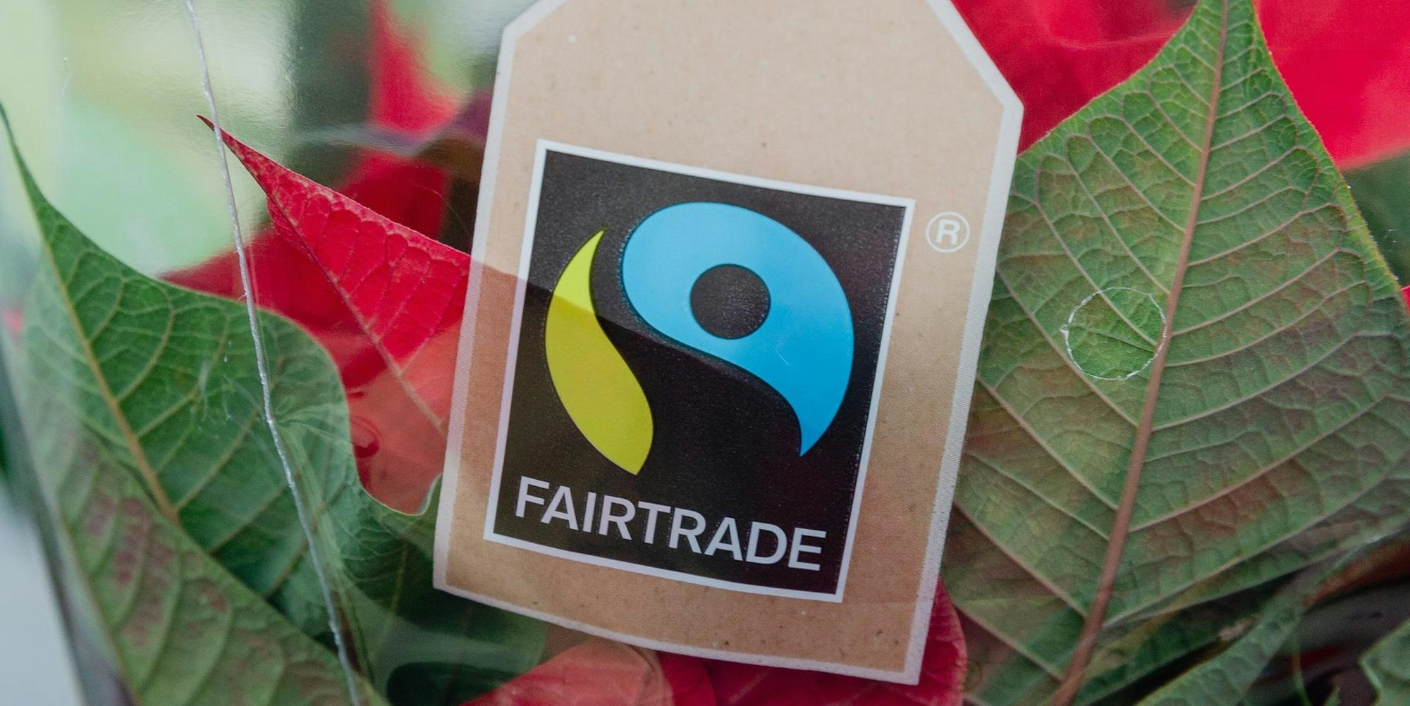 Fairtrade