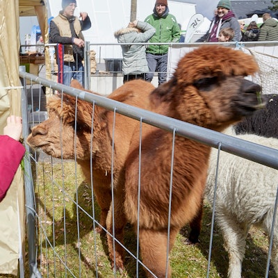 Aktionstag Vogelsang_003