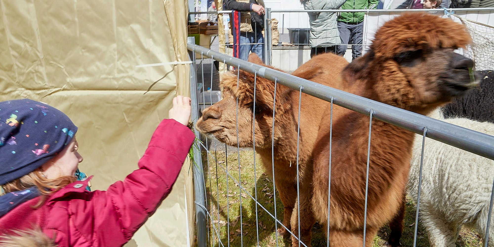 Aktionstag Vogelsang_003