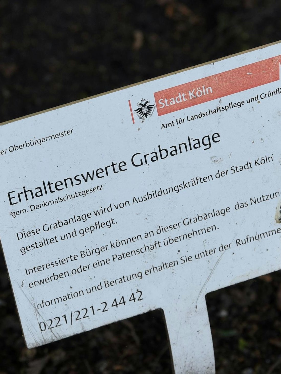 Neuer Inhalt (3)
