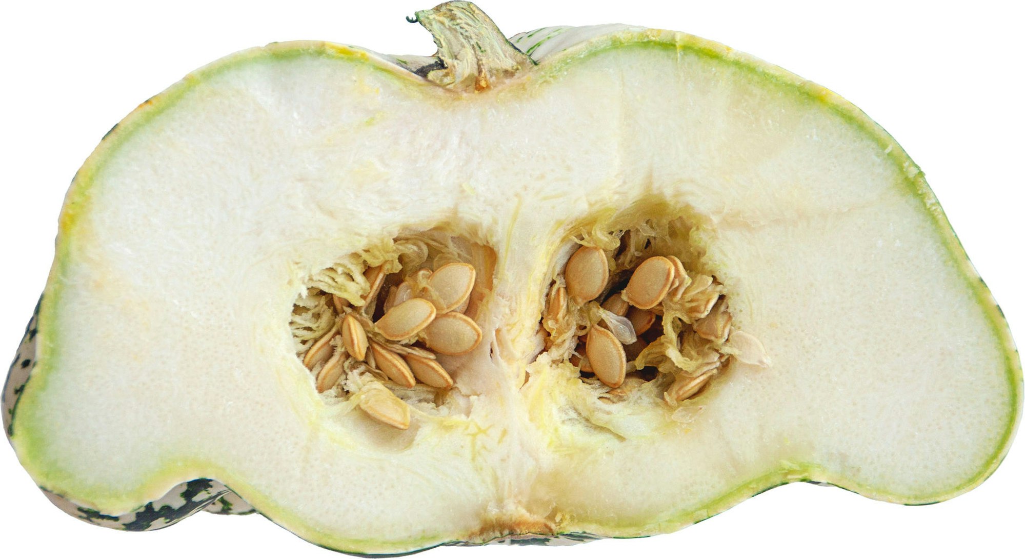 Pattison-aufgeschnitten-_DSC7199