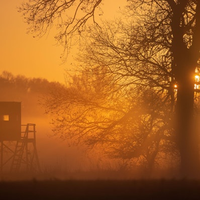 Wald Symbol DPA 100121