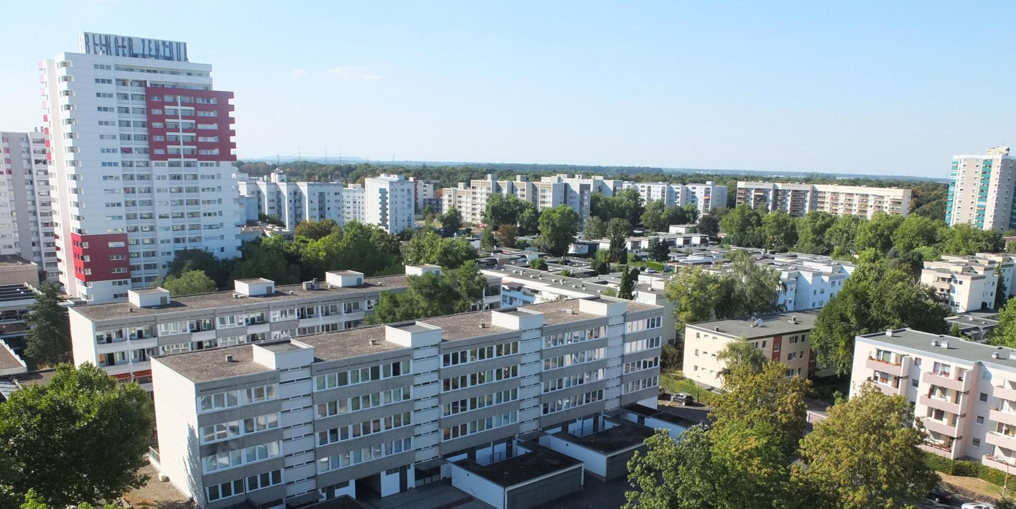 roes-dubistboc-003