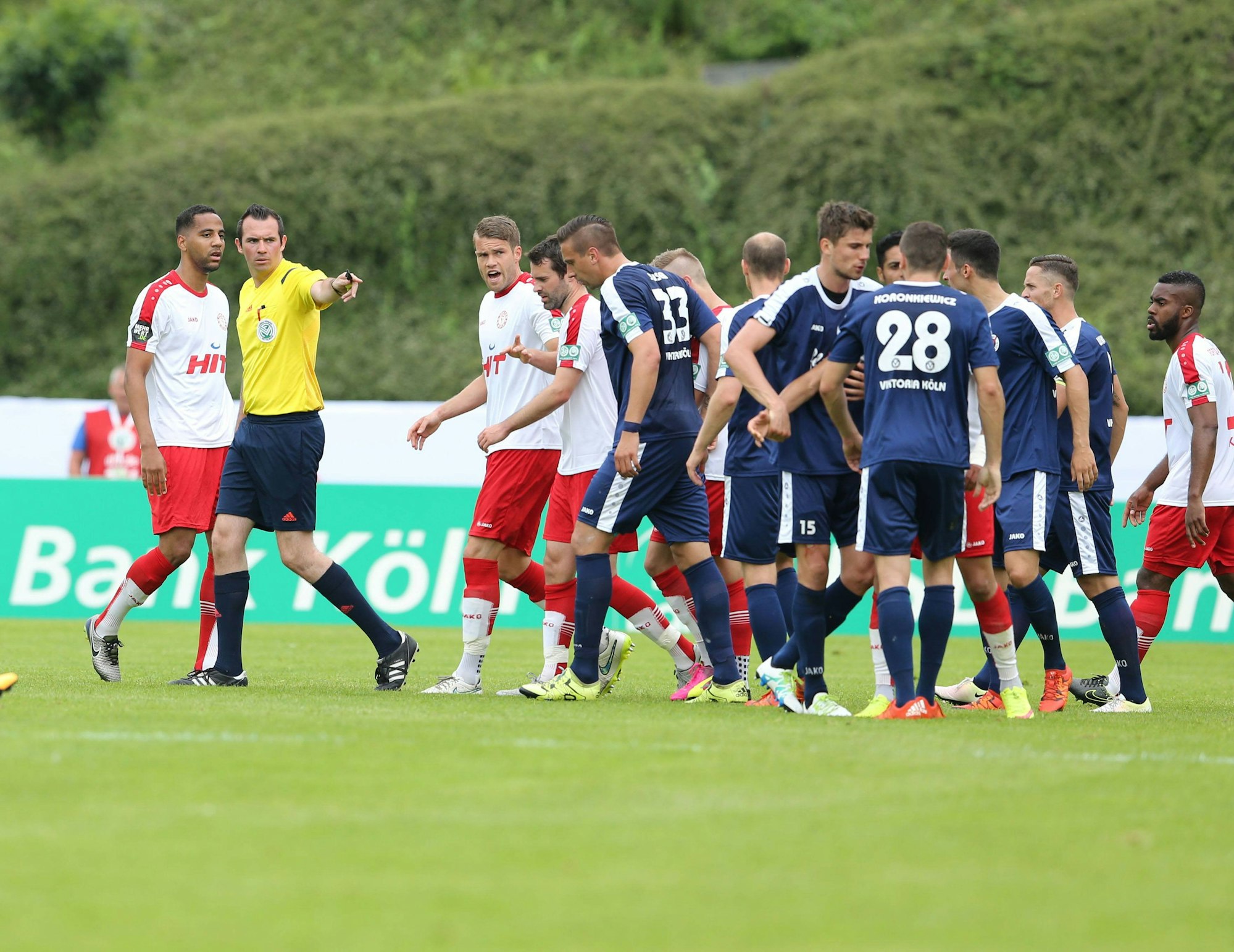 Pic Fortuna Viktoria 280516