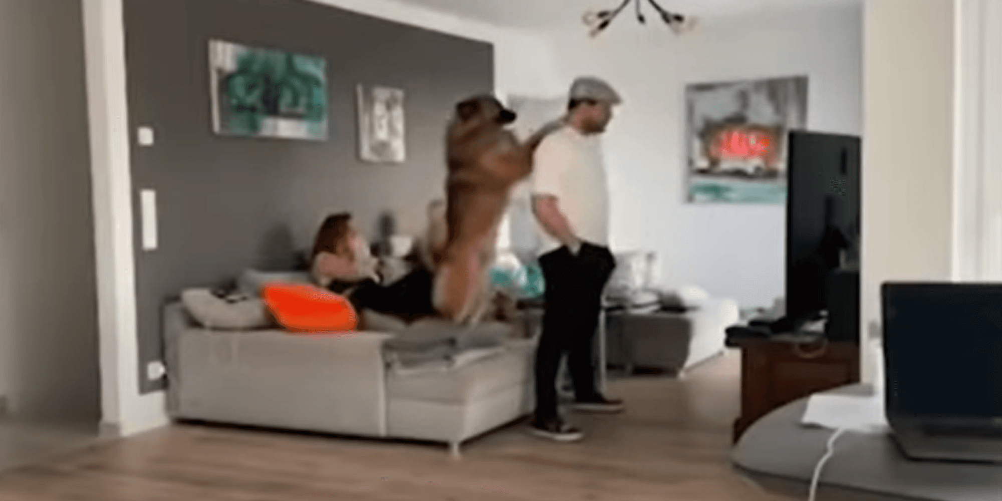 Neuer Inhalt