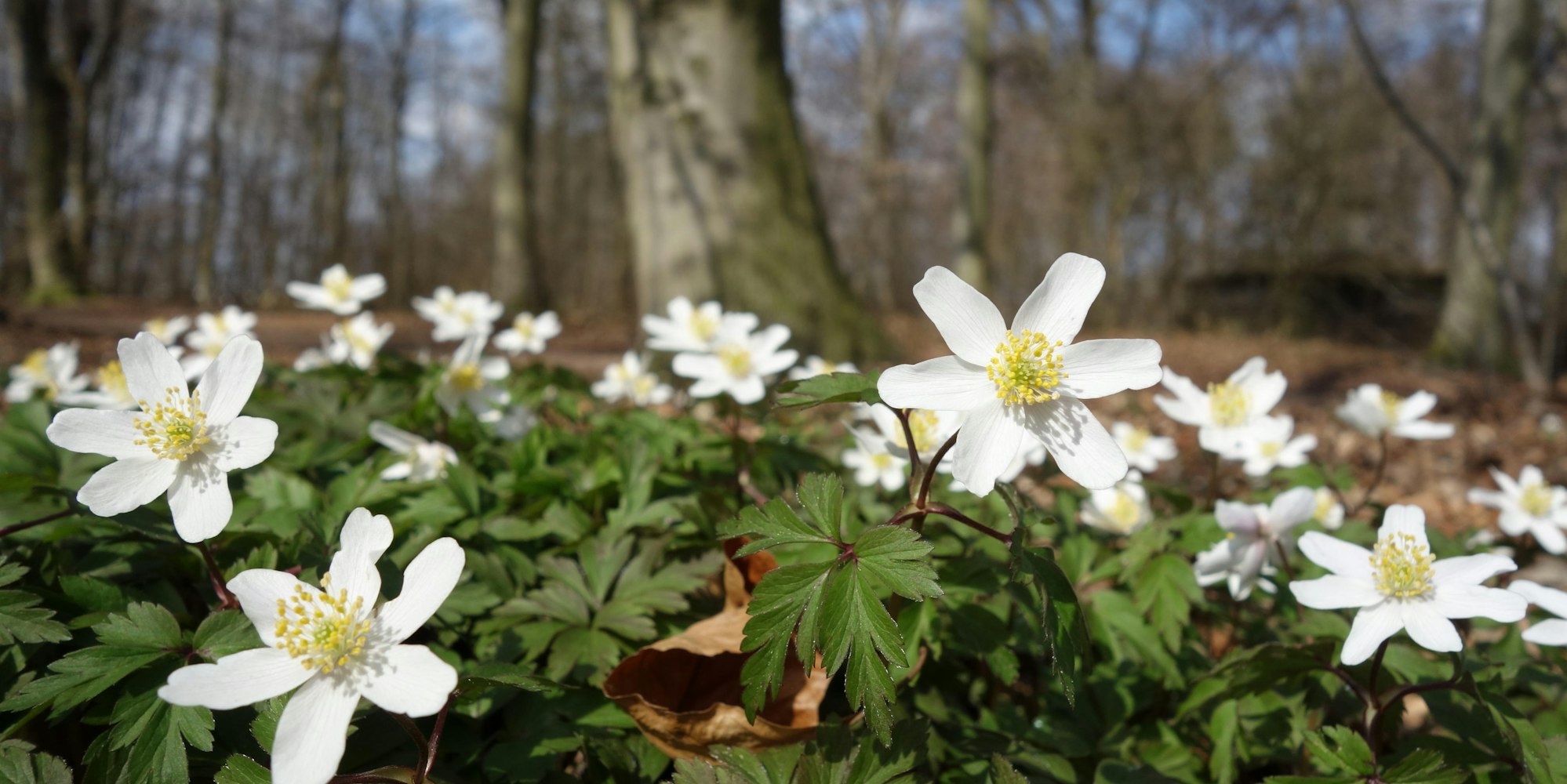 725387_original_R_by_Dr. Klaus-Uwe Gerhardt_pixelio.de