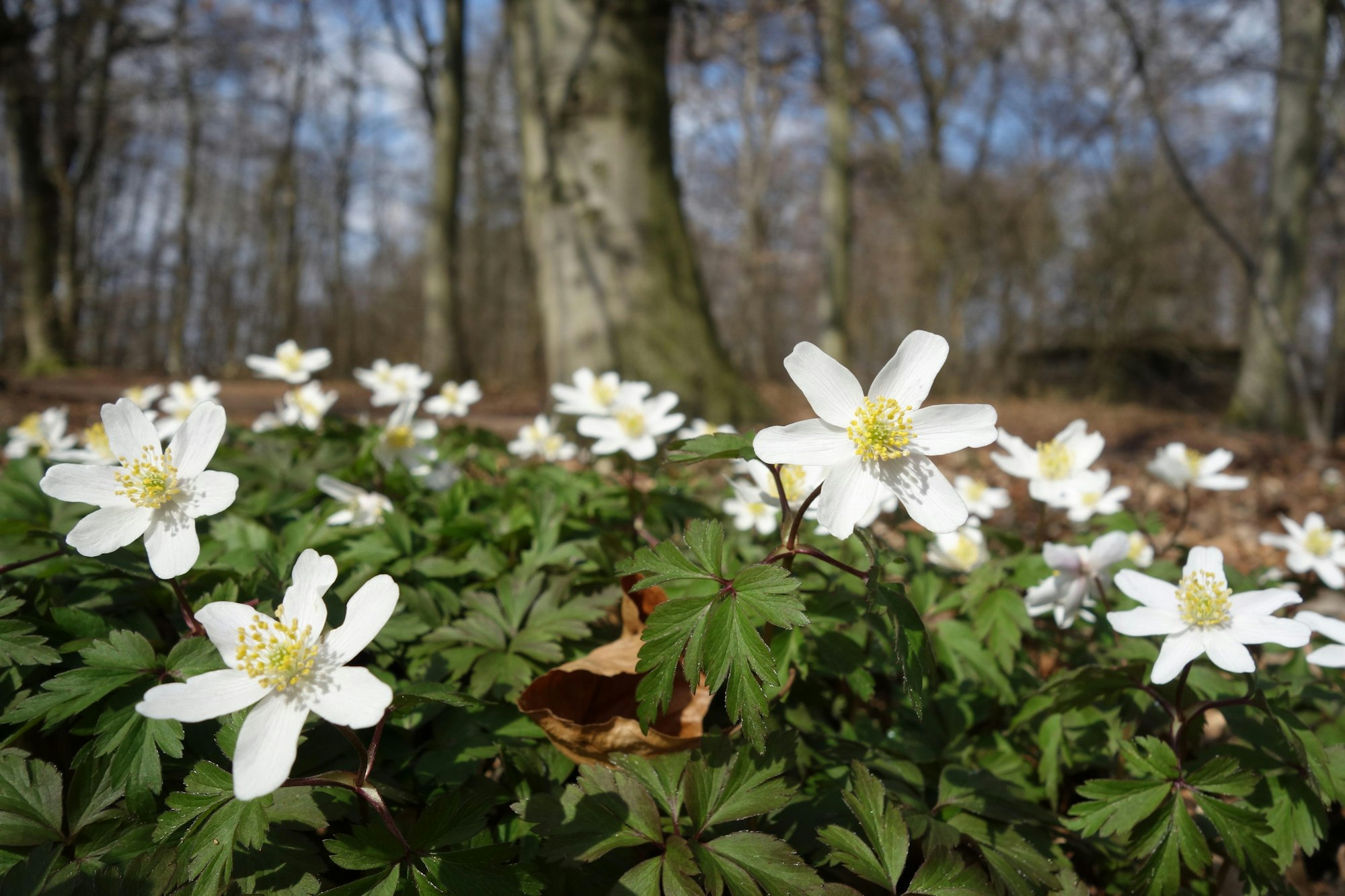 725387_original_R_by_Dr. Klaus-Uwe Gerhardt_pixelio.de