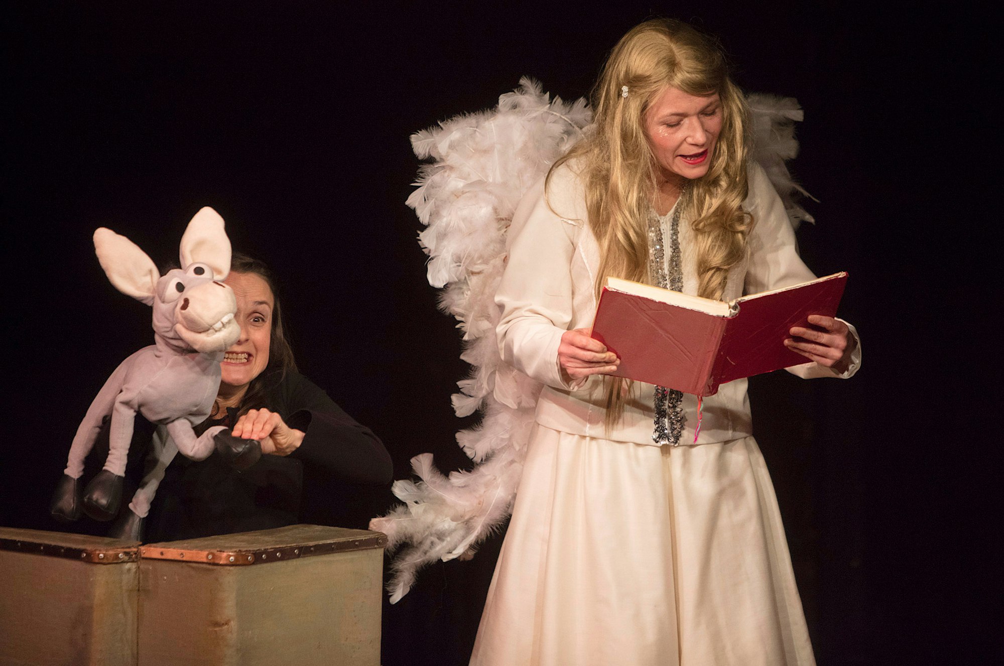 Engelundesel pressefoto