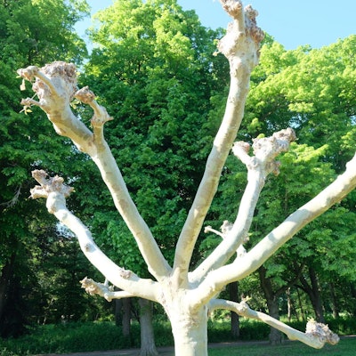 Lechenichschlosspark