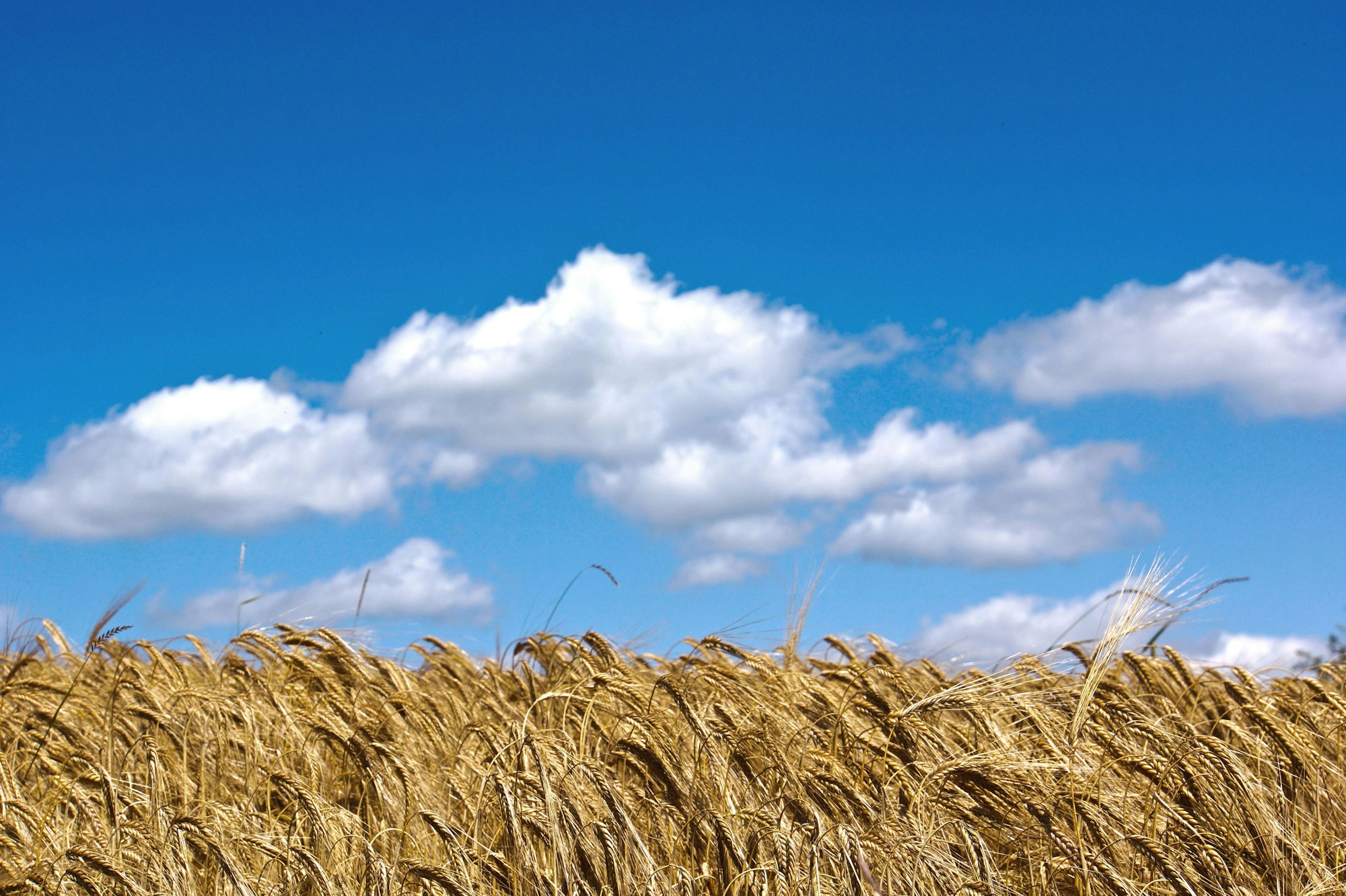 Bauernhof Feld 593425_original_R_K_B_by_Rainer Sturm_pixelio.de