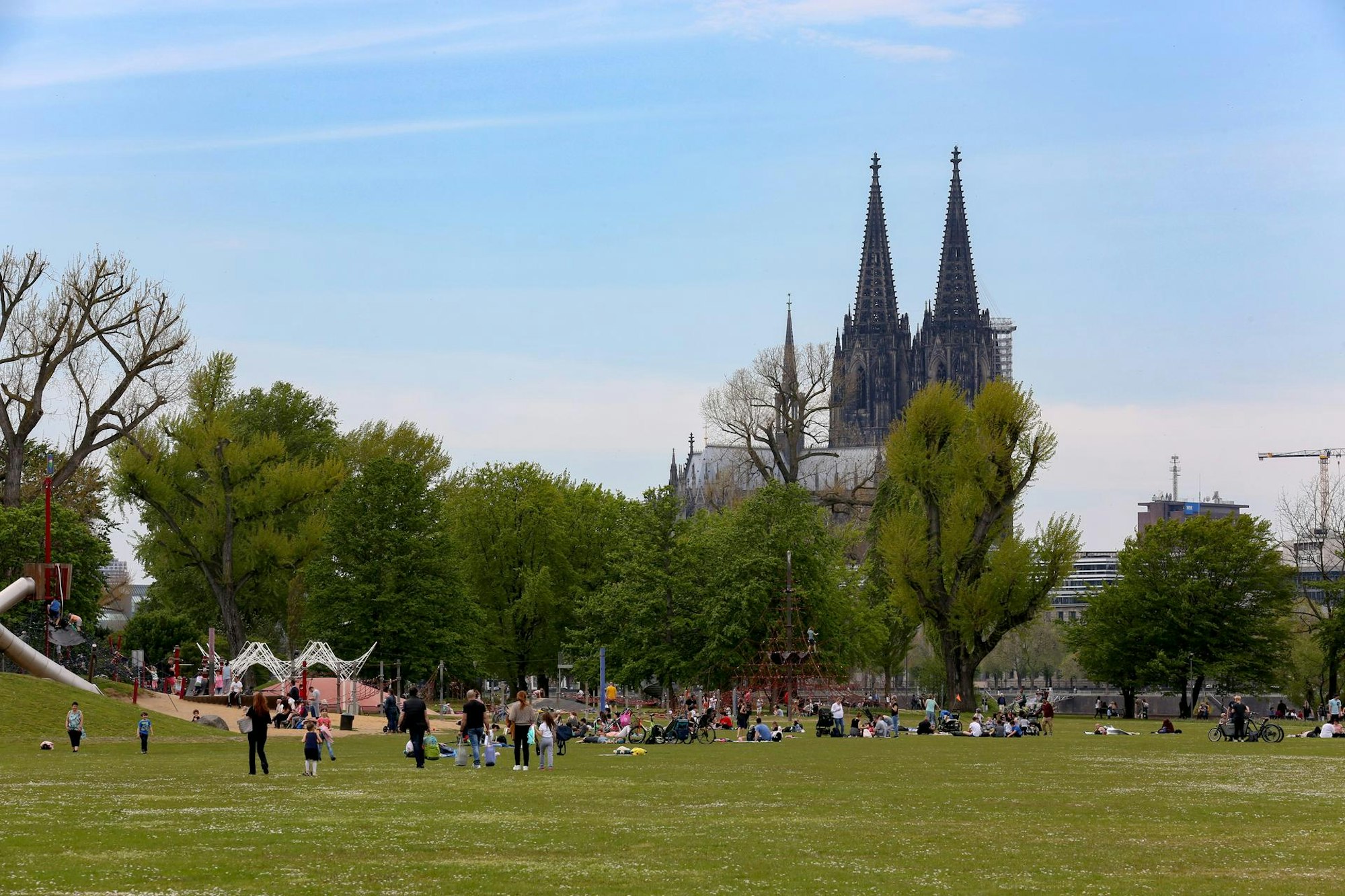 Rheinpark in Köln mit Dom im Hintergrund.