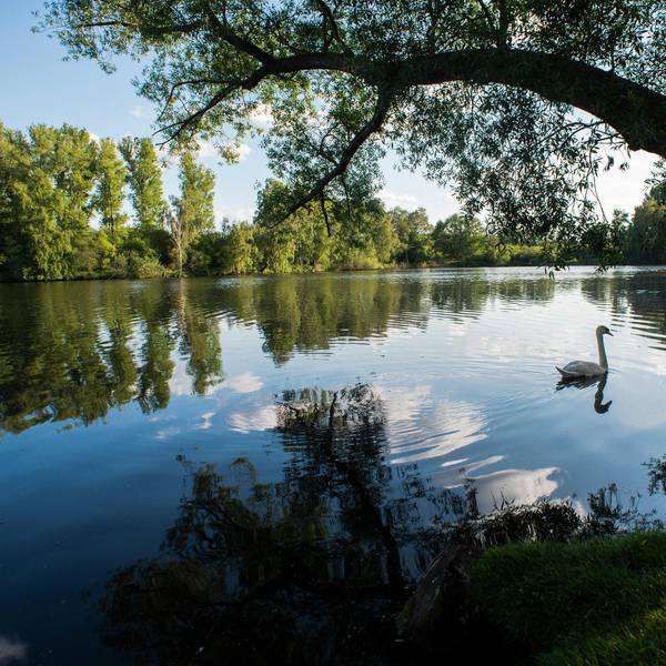 Schwalm-Aufmacher