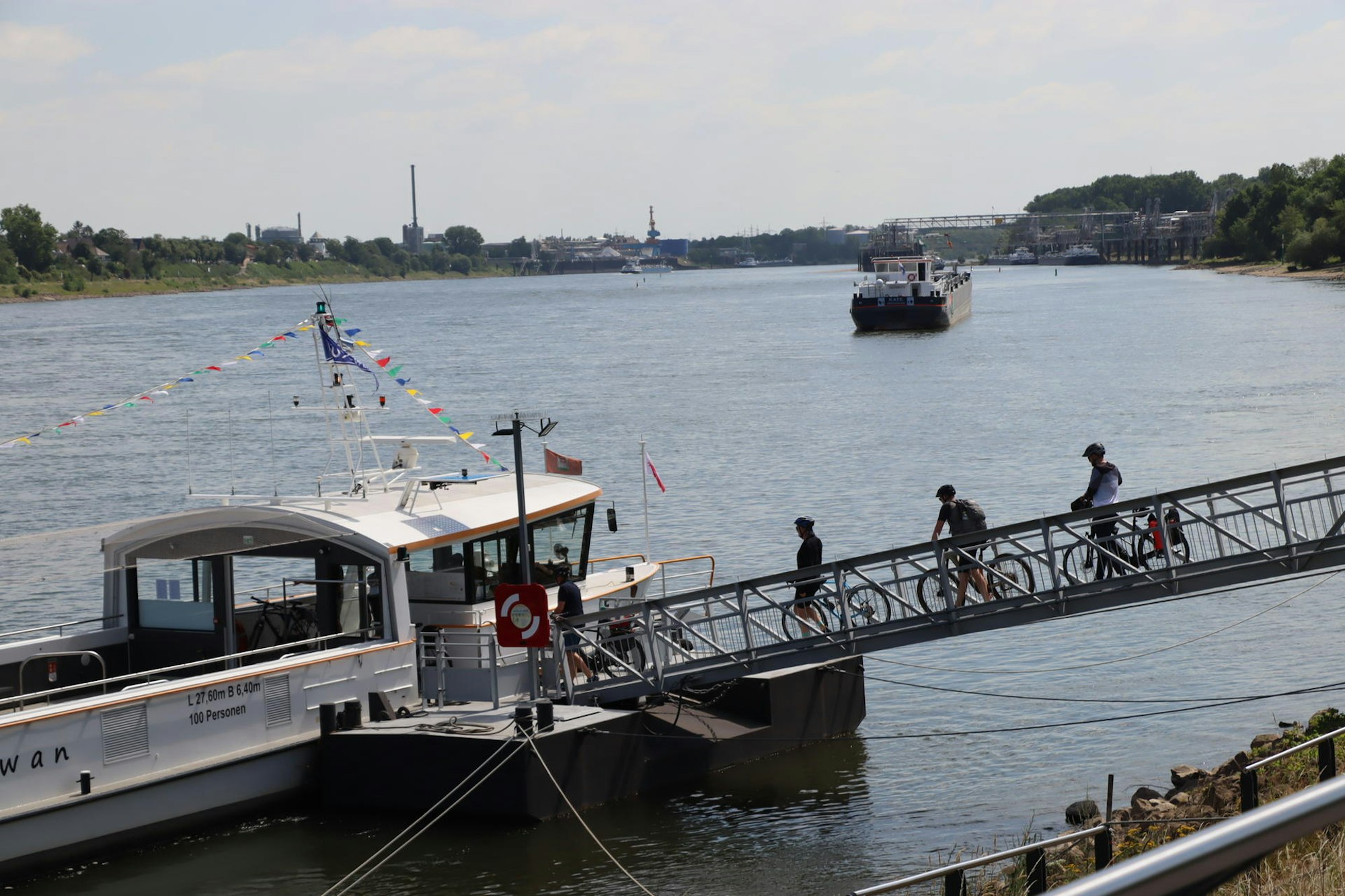 Wes-Rheinschwan-Anlieger_005