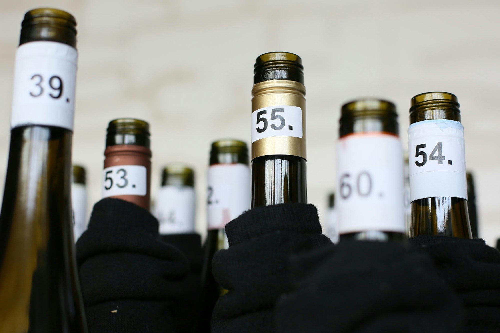 31052017_Weinverkostung_70