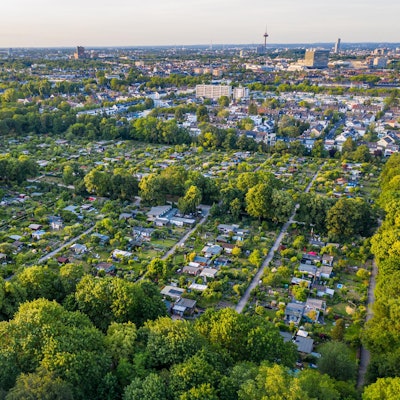 20200531-HKP-gleuelerwiese-0075 (1)