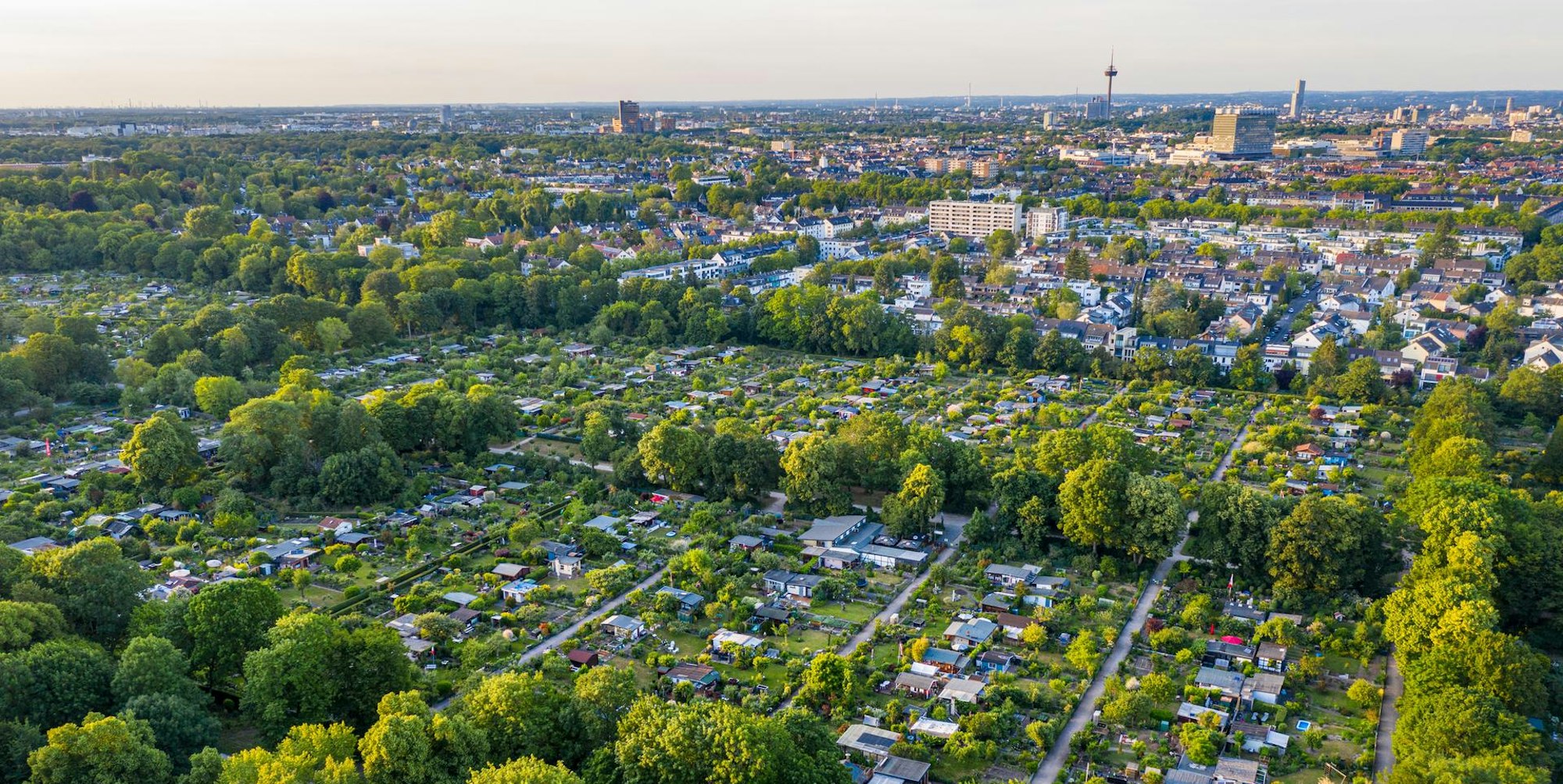 20200531-HKP-gleuelerwiese-0075 (1)