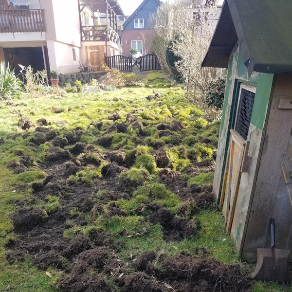 Neuer Inhalt