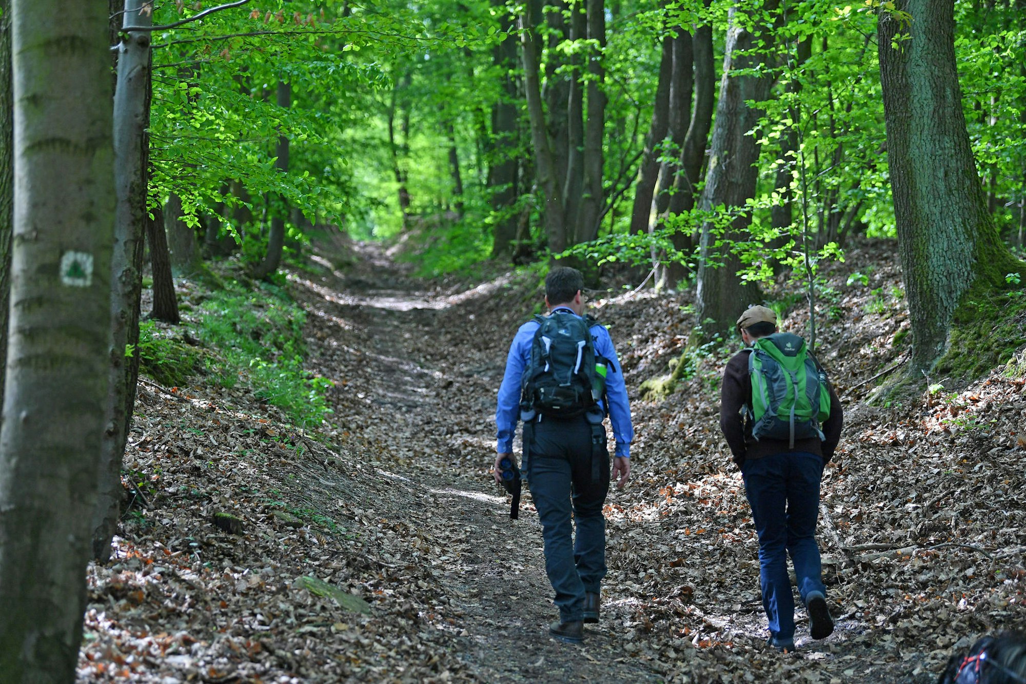 Wandern Wald symbol doa