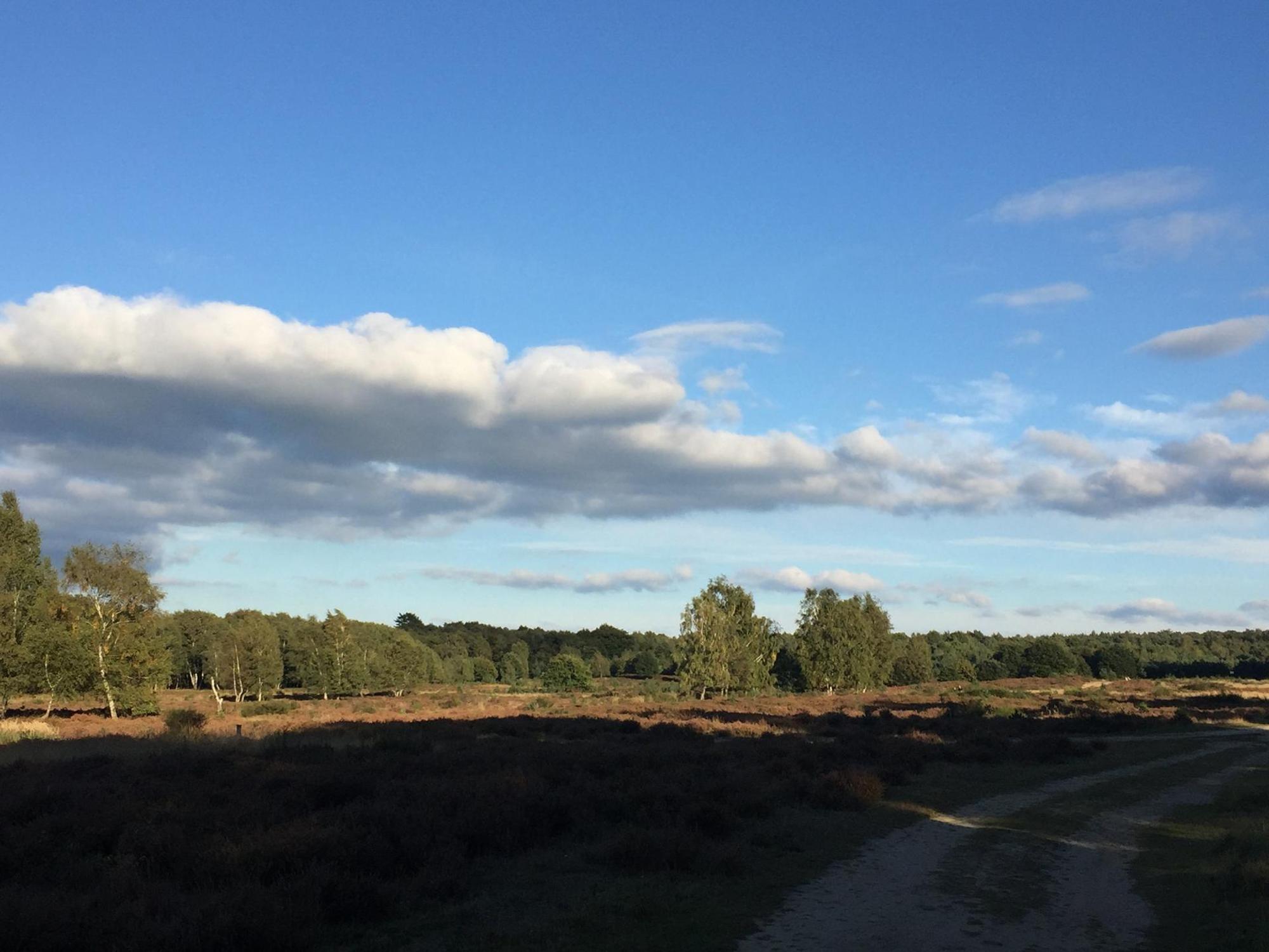 Porz Natur