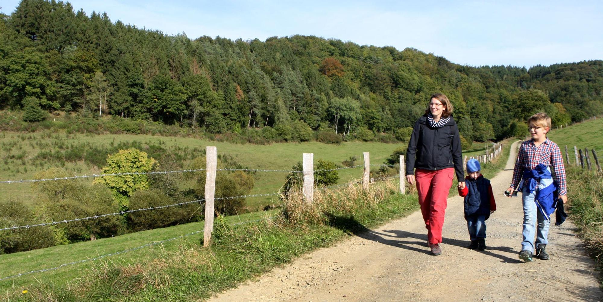 Baumweg_08_Familienwanderweg_bei_Niederdorf_5140