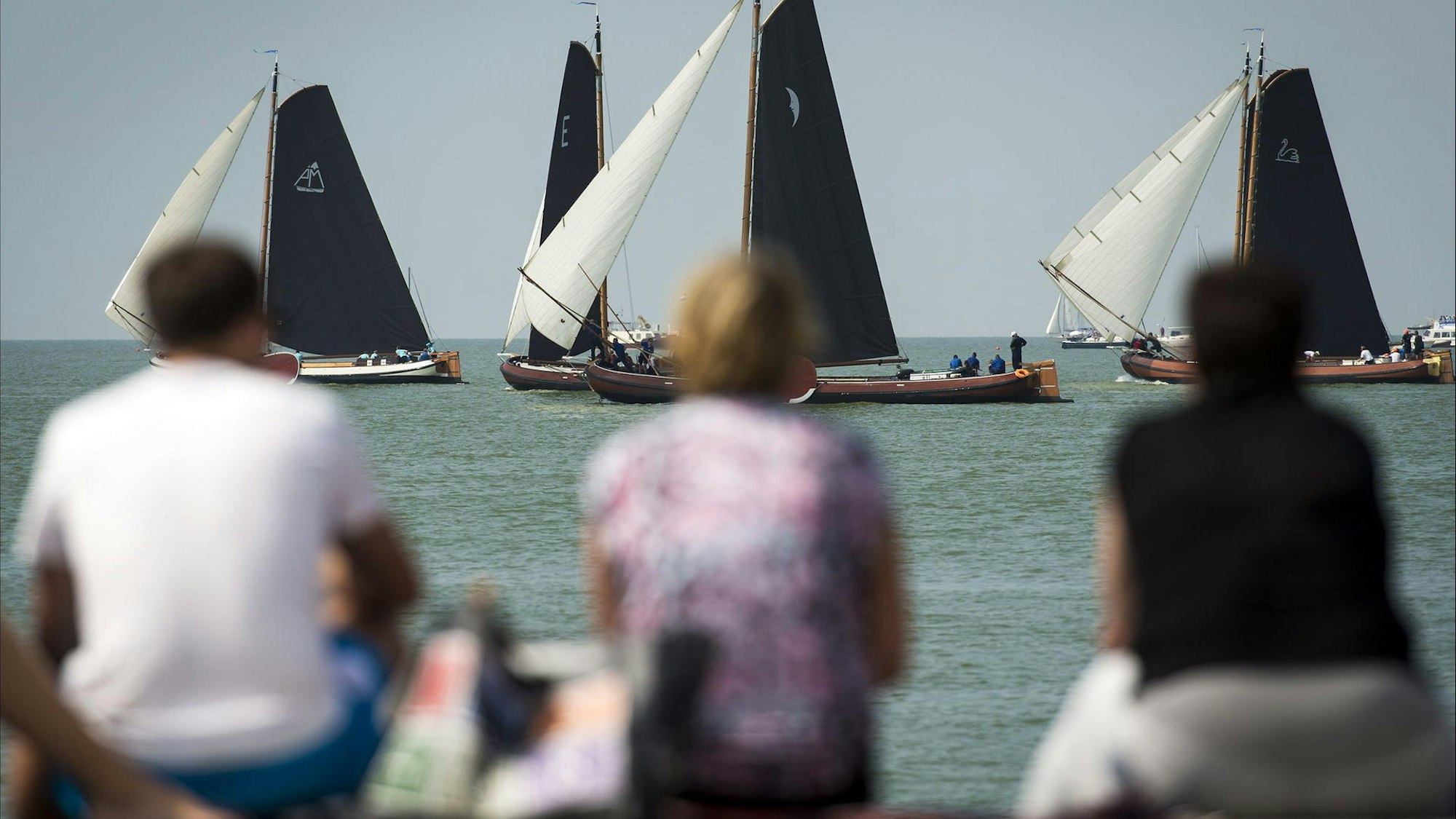 Am Ijsselmeer kommen auch Segelfans auf ihre Kosten.