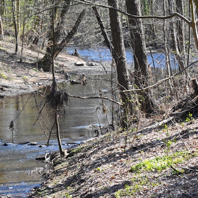 LE_Erlebnispfad-Dhuenn (2)