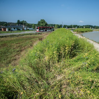 hummelsheim_RLE_leverkusen07232021ALF_5824