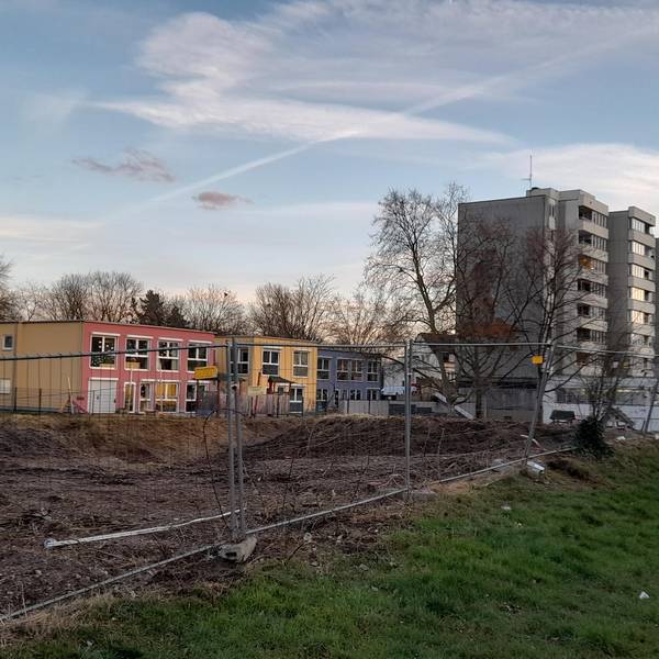 Neuer Inhalt