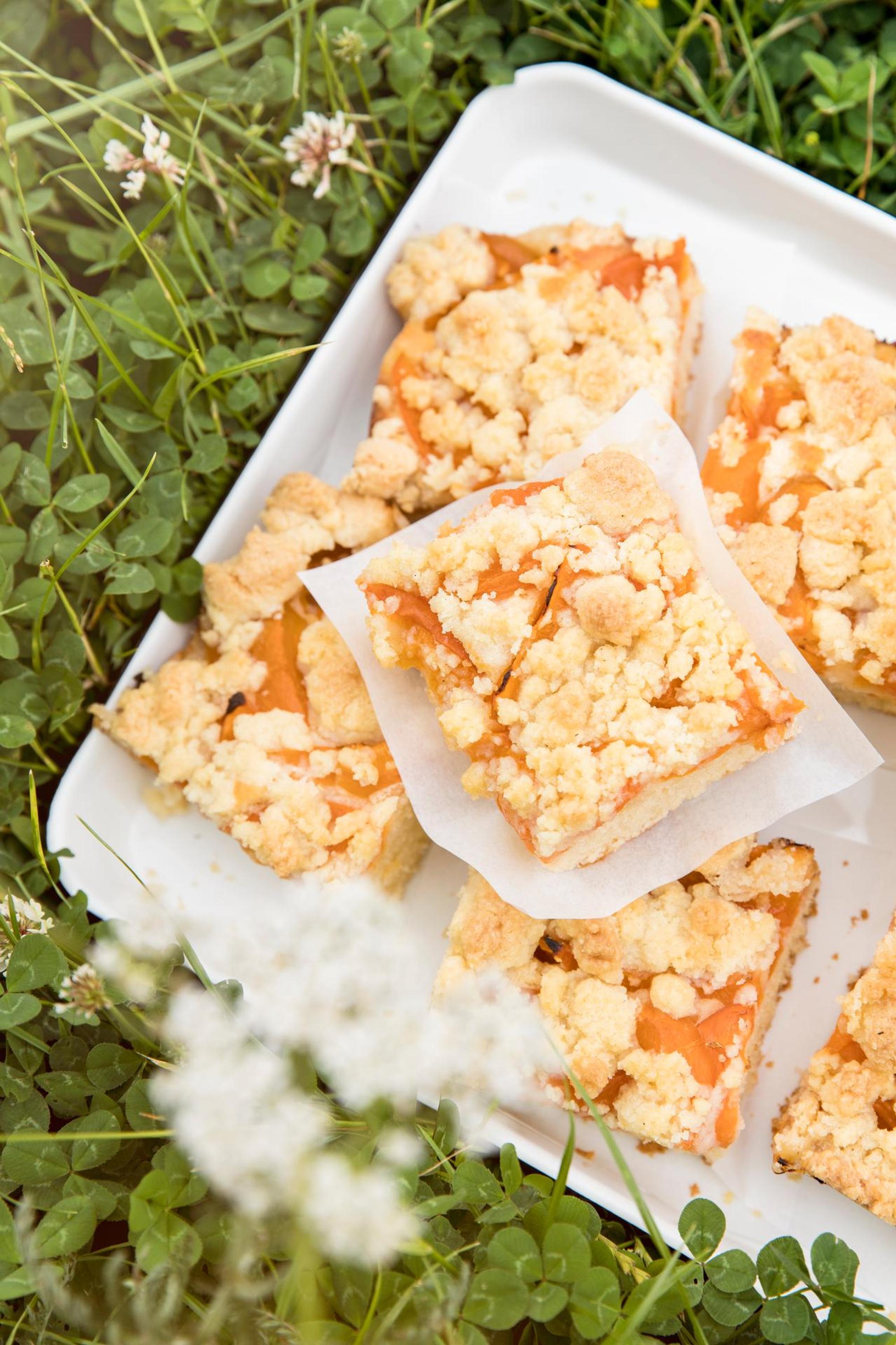 Picknick I Foto Jennifer Braun-Kuchen