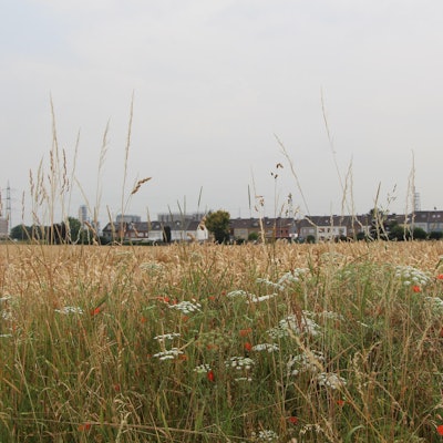 bebauung_lindenstrasse