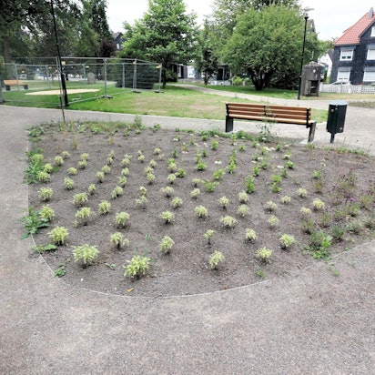 20220729_MW_ Parkanlage Burscheid 09