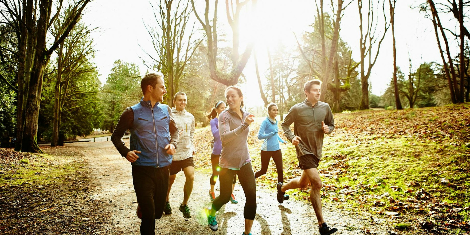 GettyImages-Gruppe_Laufen_Wald