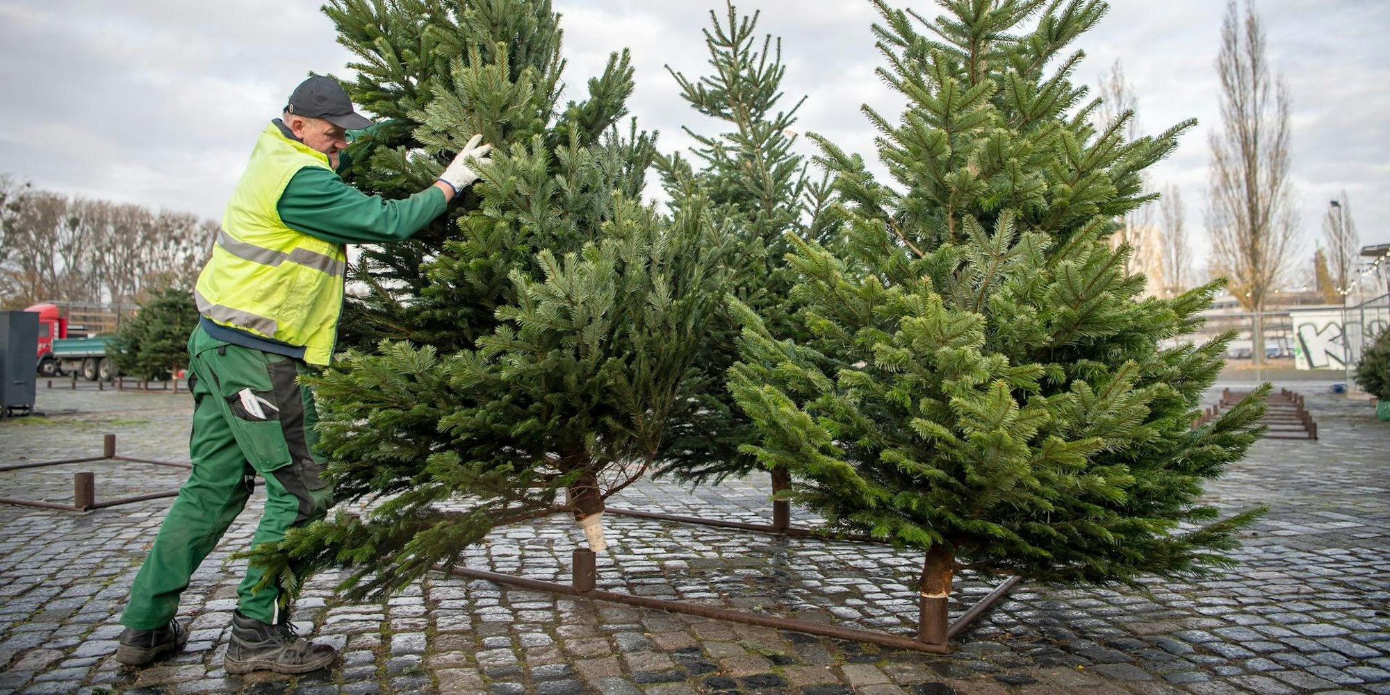 weihnachtsbaum verkauf