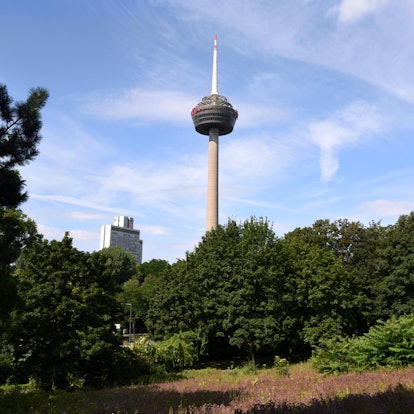 Grüngürtel Colonius Aufmacher