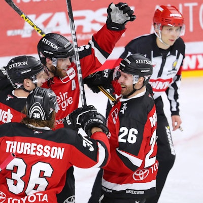 Jubelnde Haie-Profis (1)