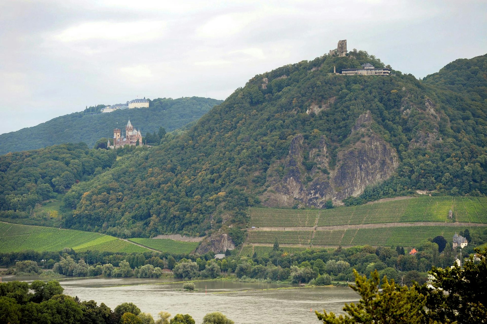 blick auf drachenfels dpa