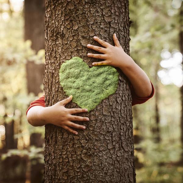 Kinderarme umarmen einen Baum mit einem aufgemalten Herz