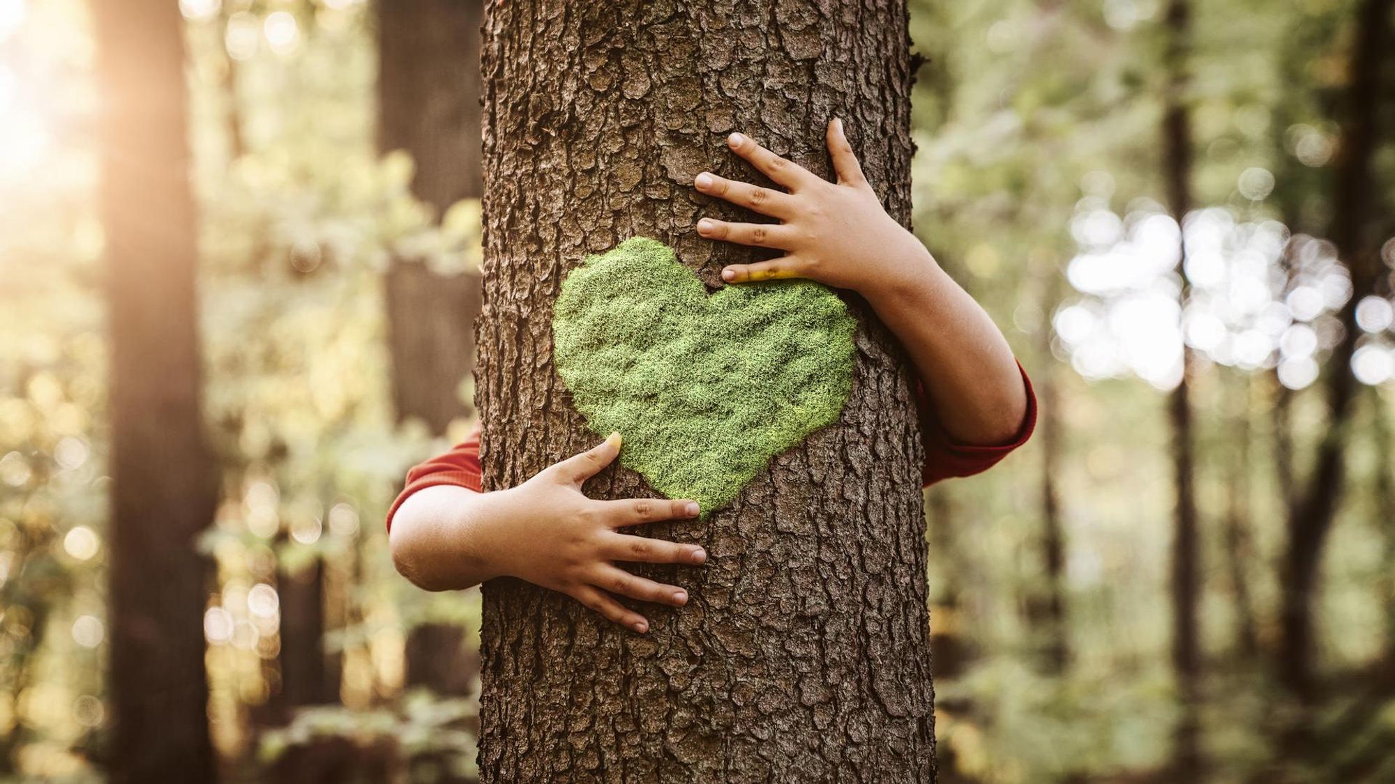 Kinderarme umarmen einen Baum mit einem aufgemalten Herz