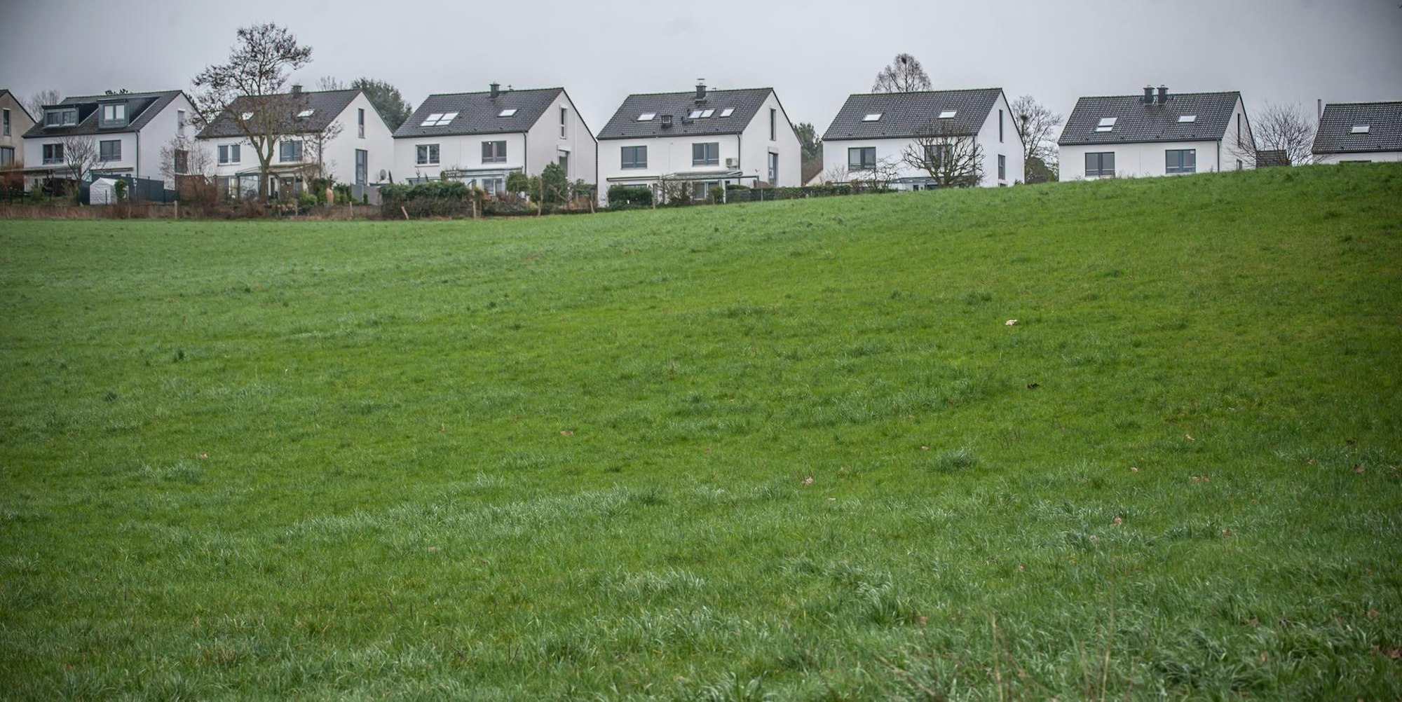 LEV Land1