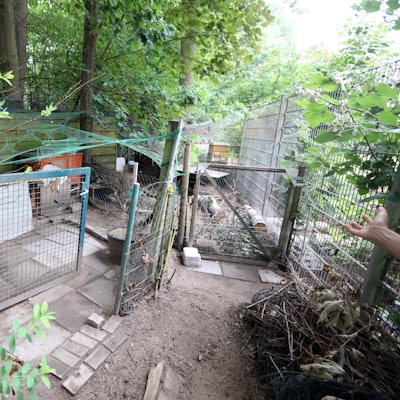 rde_KP_Grengel_Tiertötung_Schule2