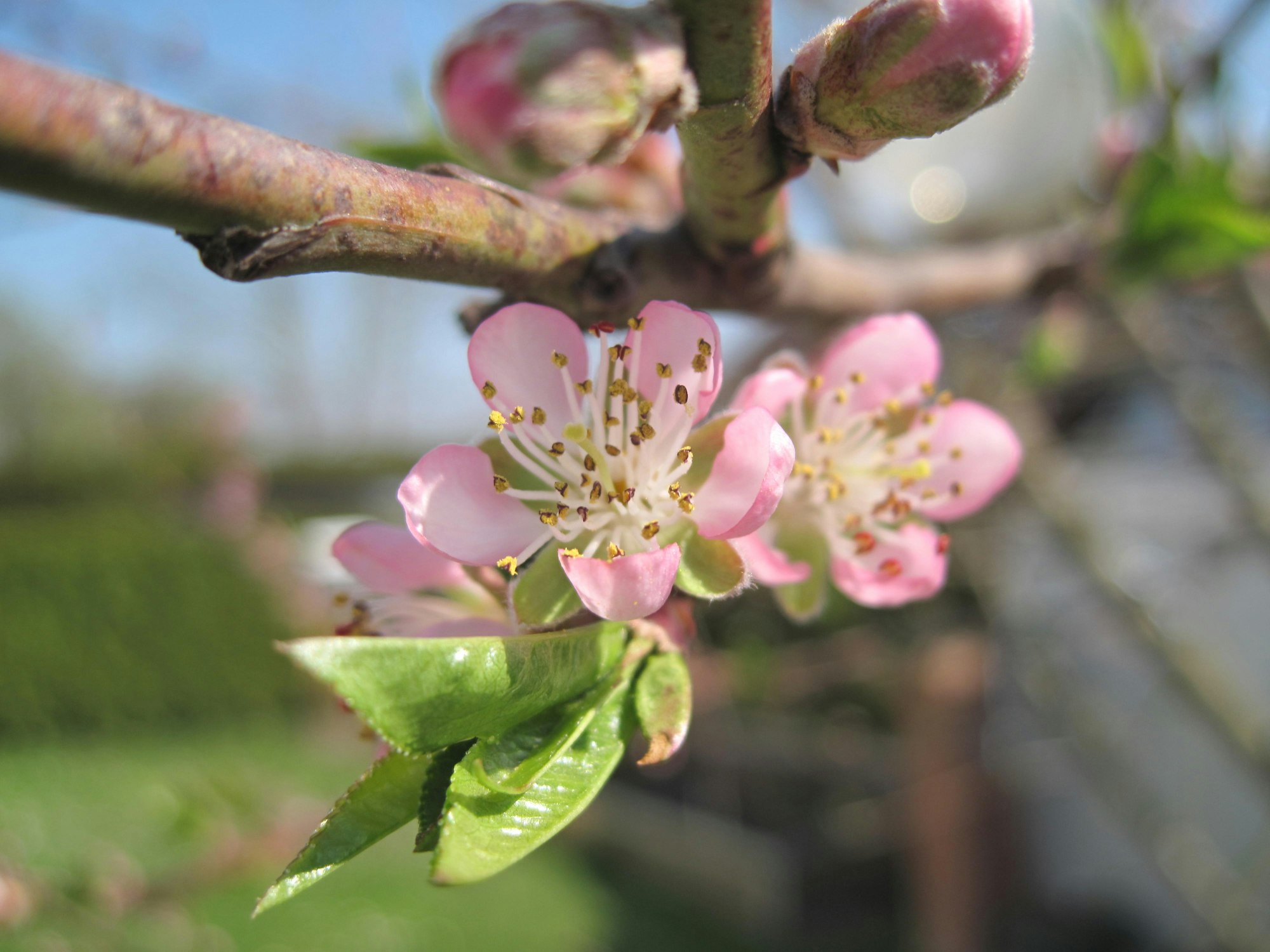 375510_original_R_K_B_by_Kurt Bouda_pixelio.de (2) (1)