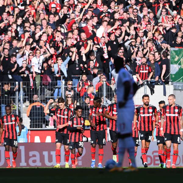 Bayer EK Bild