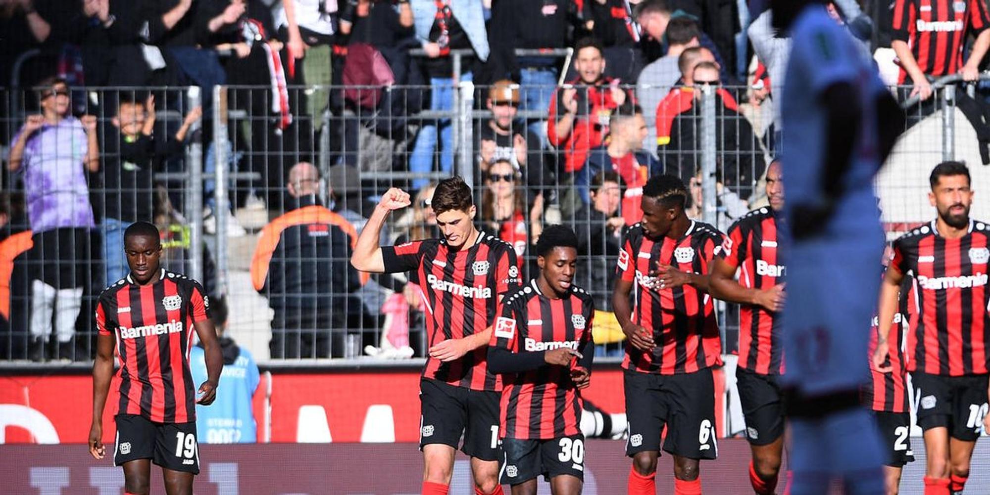 Bayer EK Bild