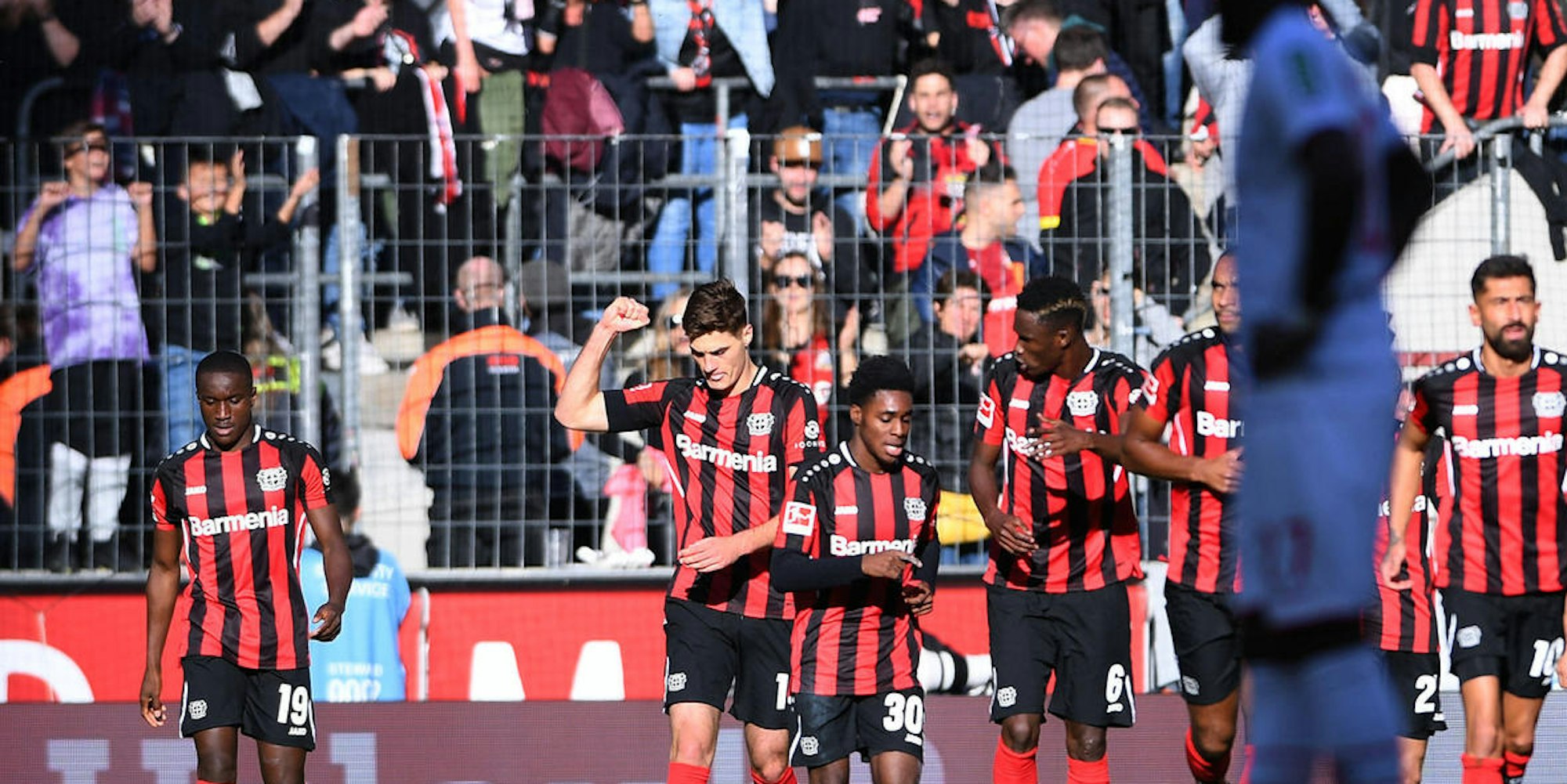 Bayer EK Bild
