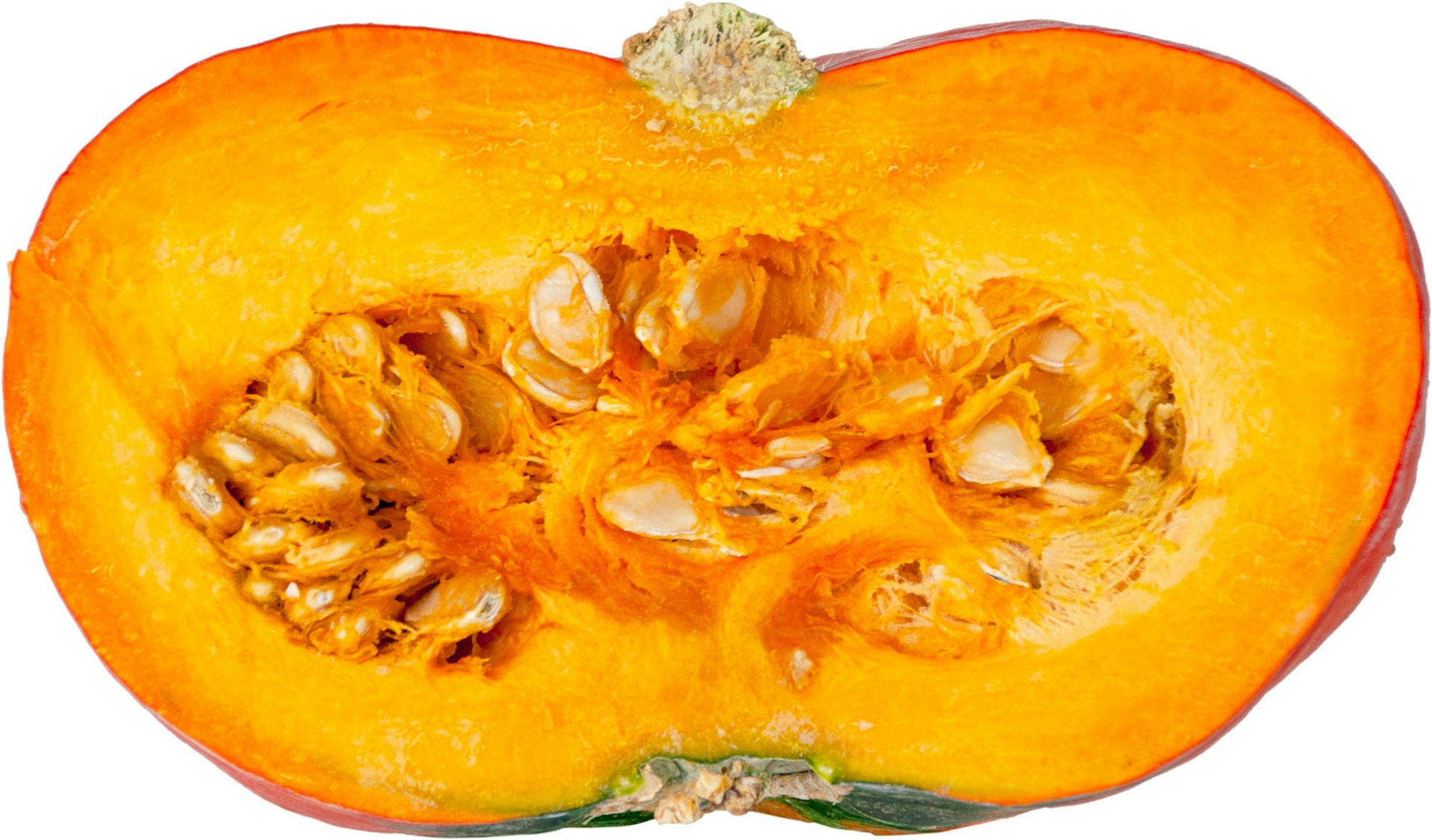 hokaido-aufgeschnitten-_DSC7176