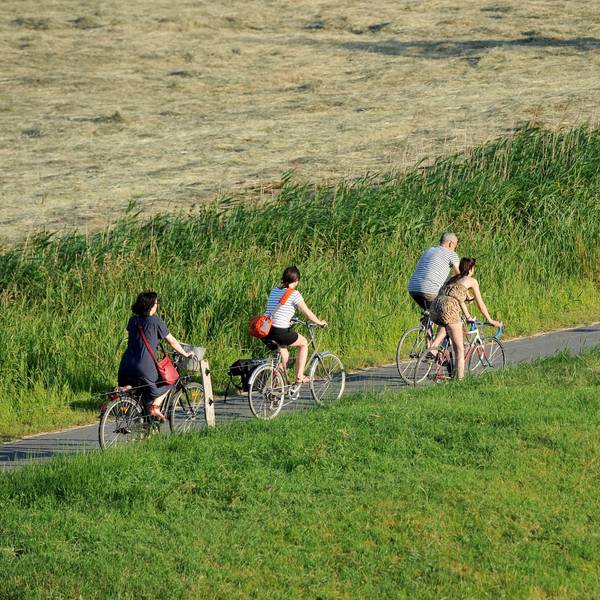 Fahrrad Frühling Feld