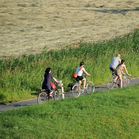 Fahrrad Frühling Feld