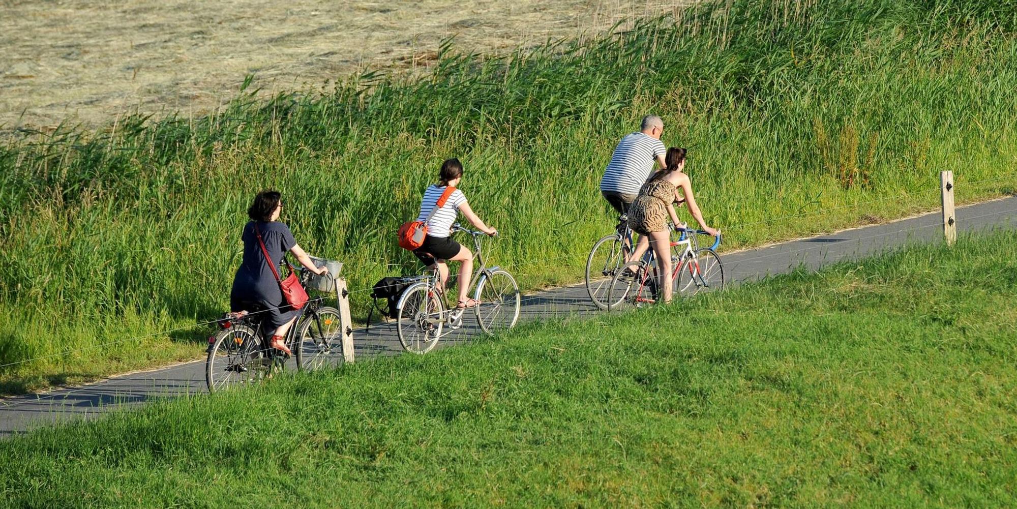 Fahrrad Frühling Feld